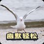 欢快幽默轻松广告配乐