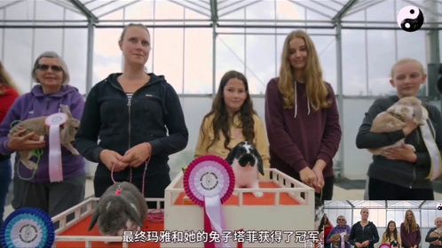 兔子障碍赛的颁奖典礼