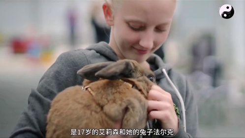 兔子障碍赛二号选手简介