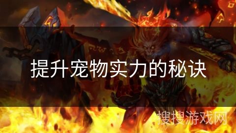 提升宠物实力的秘诀