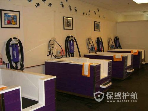 宠物店墙面颜色搭配技巧-保驾护航
