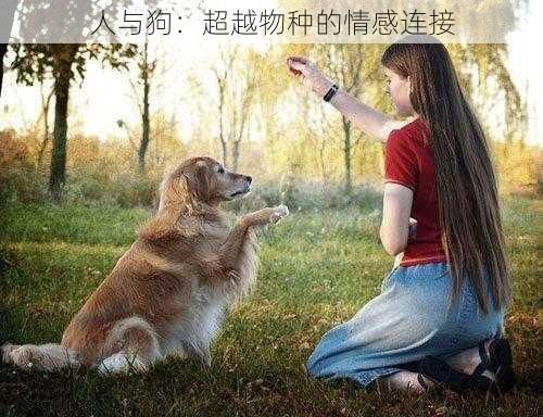 人与狗：超越物种的情感连接
