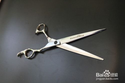 宠物美容剪刀使用方法