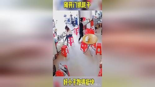 刚开门抓耗子，好小子跑得挺快