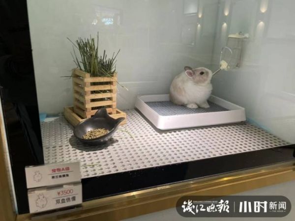 微信图片_20221108110306.jpg