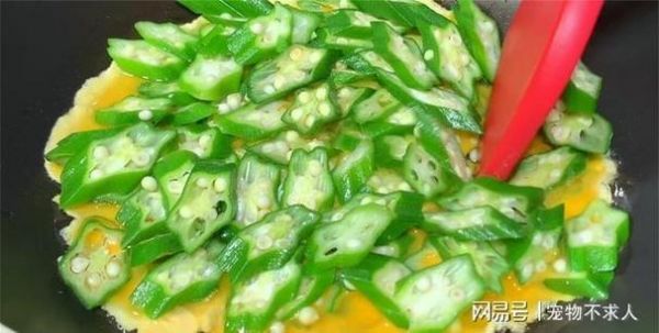 仓鼠能吃什么水果和蔬菜