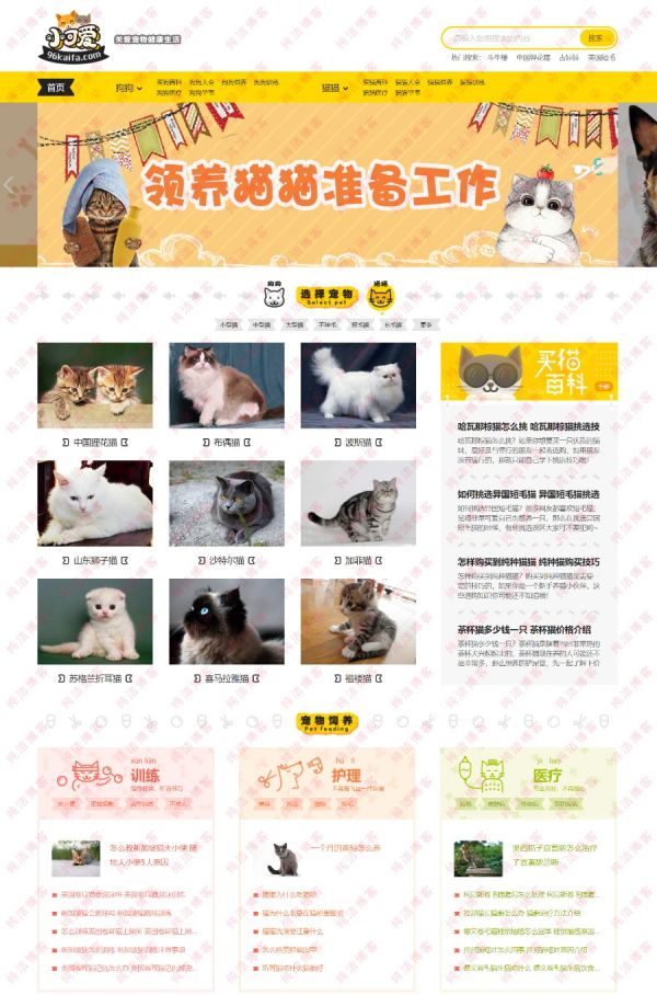 96kaifa仿《小可爱宠物网》宠物网站源码