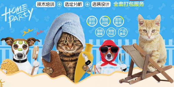 爱尚宠宠物店