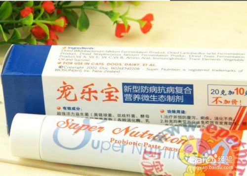 狗狗过敏怎么办