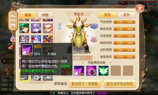图片12