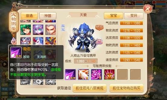 图片11