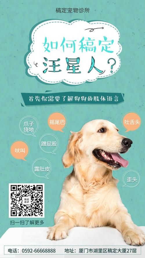 如何为狗狗朋友打造魅力照片文案