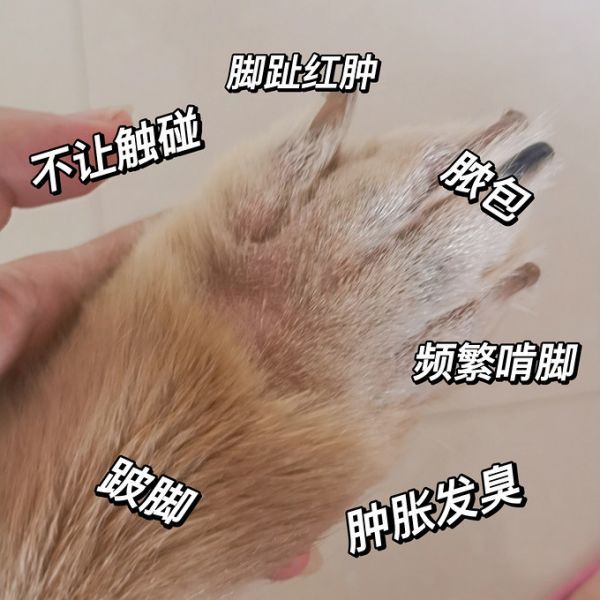 日用清洁