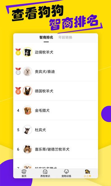 狗语翻译器免费版下载