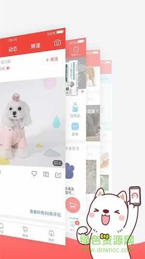 共享宠物app