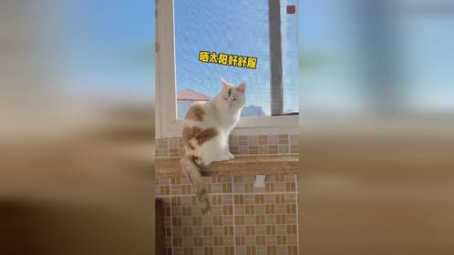 养宠人周末的一天是如何度过的