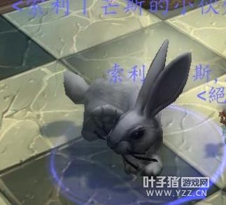 不为人知的魔兽达拉然 店里藏着幻化师、隐藏宠物