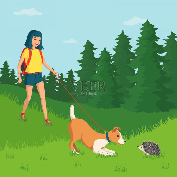 快乐的女孩和一只狗在森林里散步。带着宠物进行户外活动的概念。卡通矢量插图。插画图片素材