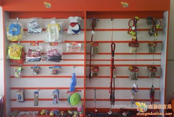 宠物宝宝连锁店：缔造宠物养护第一品牌_3