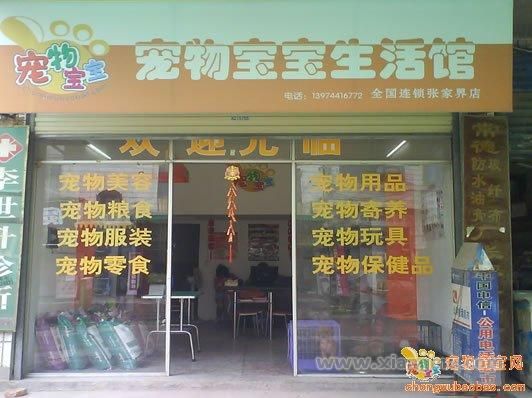 宠物宝宝连锁店：缔造宠物养护第一品牌_4