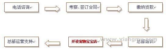 宠物宝宝连锁店：缔造宠物养护第一品牌_7