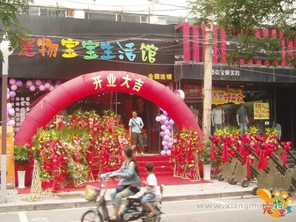 宠物宝宝连锁店：缔造宠物养护第一品牌_8
