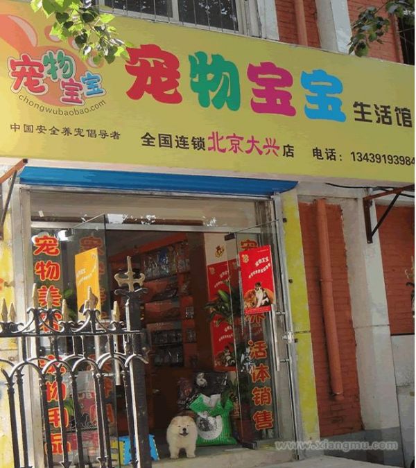 宠物宝宝连锁店：缔造宠物养护第一品牌_11