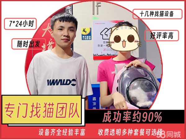北京极致寻宠·找猫公司专业找猫团队寻找宠物寻猫团队寻宠机构找猫服务宠物侦探找小猫寻猫