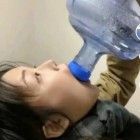 枫林