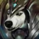 o白纸o