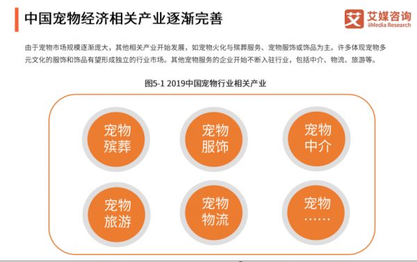 中国宠物经济相关产业逐渐完善