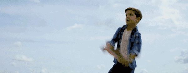 关于宠物饲养，很多人不了解的几点！
