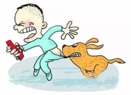 关于宠物饲养，很多人不了解的几点！