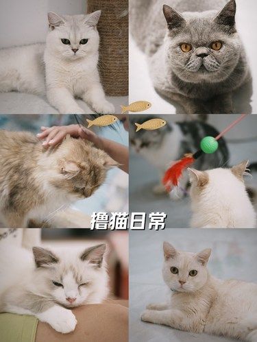 暑假带娃好去处｜又是被毛孩子治愈的一天[爱心]