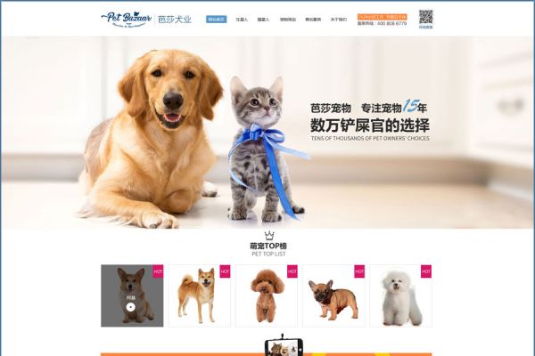 一个宠物交流类网站的制作流程