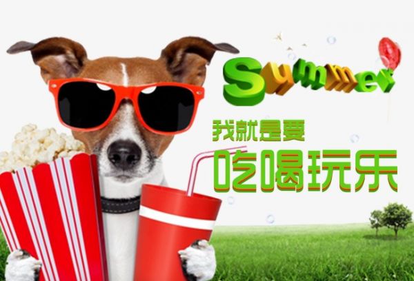 宠物创意：跨界标题与广告词，创意文案及独特造型集锦