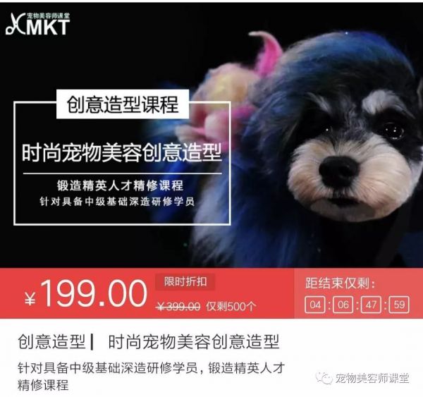 宠物创意：跨界标题与广告词，创意文案及独特造型集锦