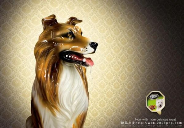 宠物创意：跨界标题与广告词，创意文案及独特造型集锦