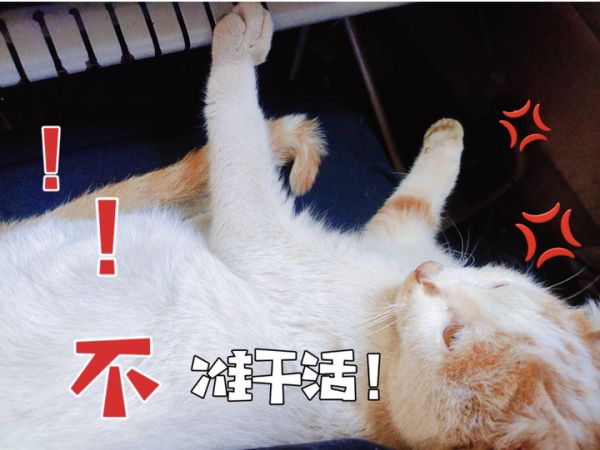 96dd32d72523df14376f5a5d84fd431.png