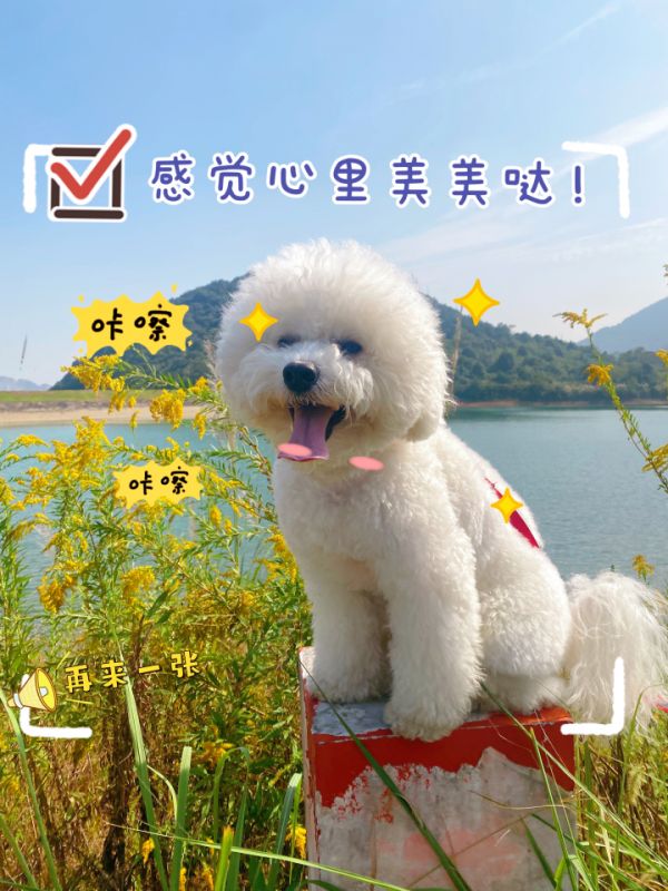 78ddbc99826b51114b47c37561ece00.png