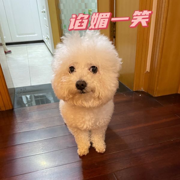 600f01a919e939f6eb8a02a0b6e50fe.png