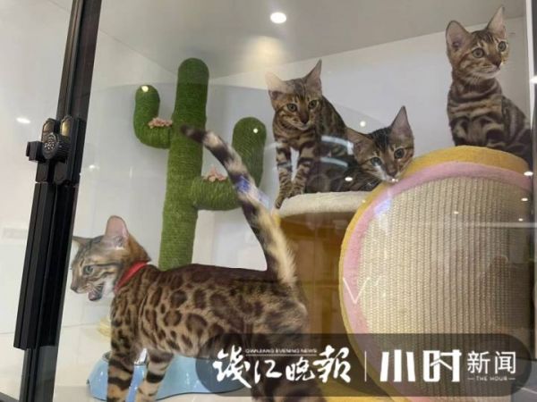 微信图片_20220831102235.jpg