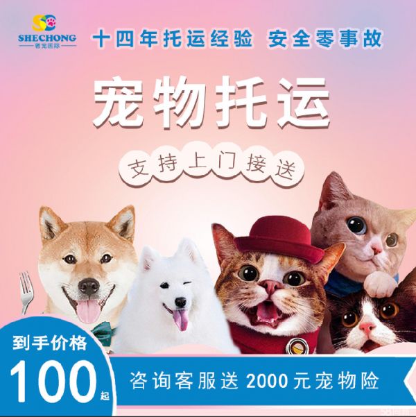 奢宠宠物托运有限公司·永城十年宠物托运运输狗猫咪国内外空运陆运汽运火车包安全