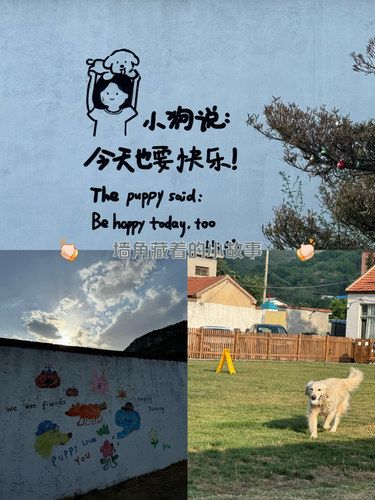找到了一个宠物小世界