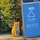 注销中