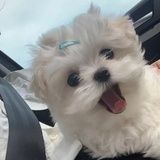 废话好多