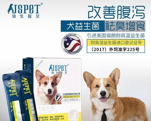 宠物护理技巧及治疗方法（宠物护理技巧及治疗方法）