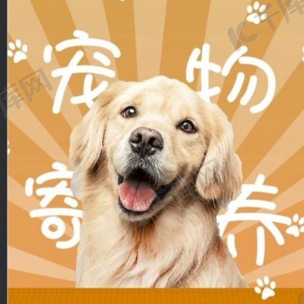 爱宠寄养