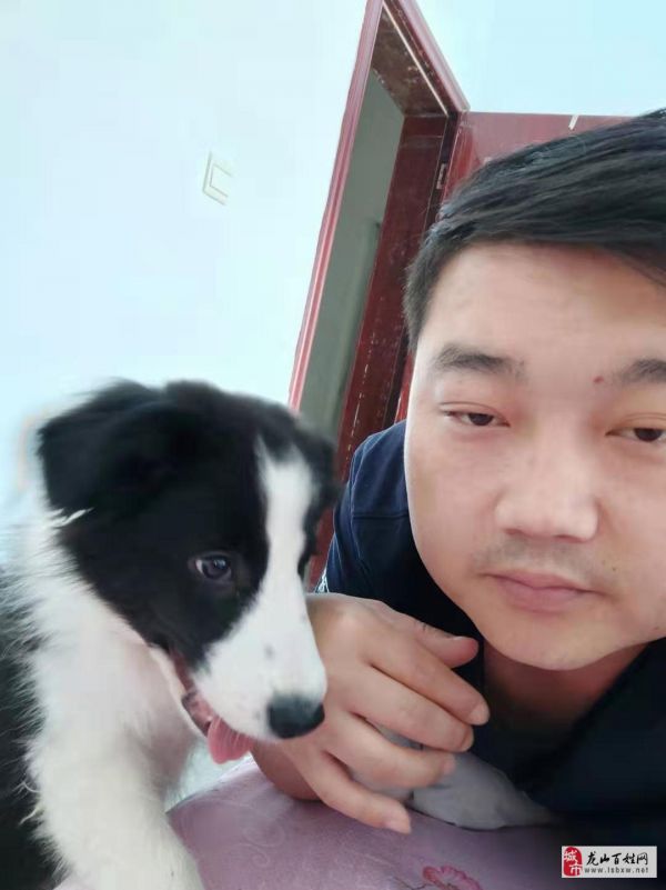 马上因要出远门，家里没人养