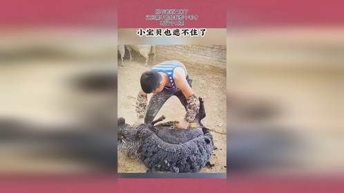 脱衣老师又来了，这回能不能给我剪个毛寸，再留个口罩